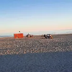 Armas Siseouega Kesklinnakorter, Esplanaadi Tn. 아파트 *